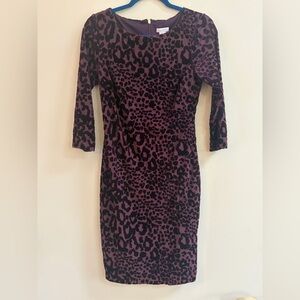 Cache Long Sleeve Dress in Purple and Black Animal Print